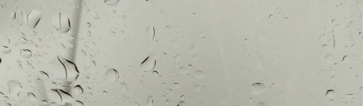 What Ever Happened To Summer?