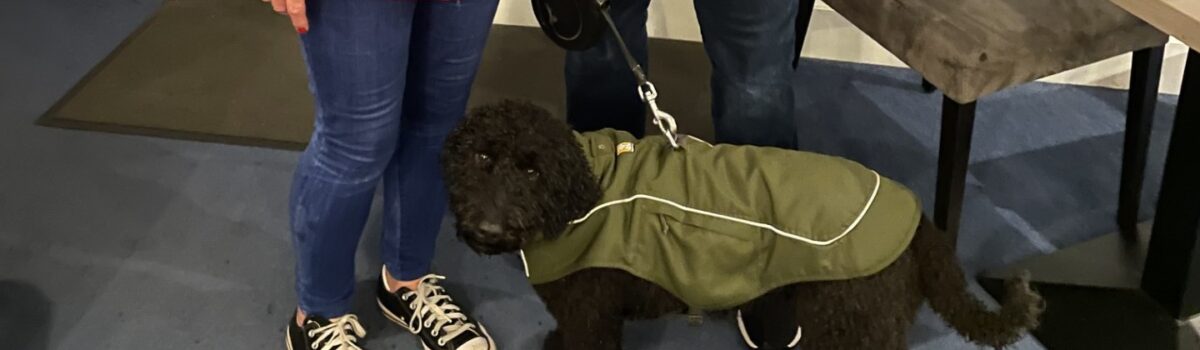 DEXY’S (MIS) ADVENTURES – Chapter 7 – Edinburgh 