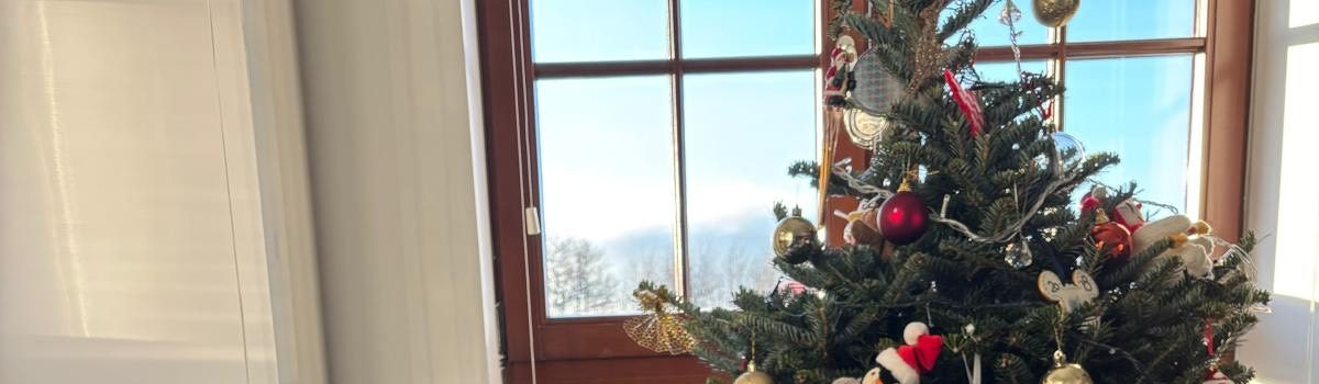 DEXY’S (MIS) ADVENTURES – Chapter 10 – The move